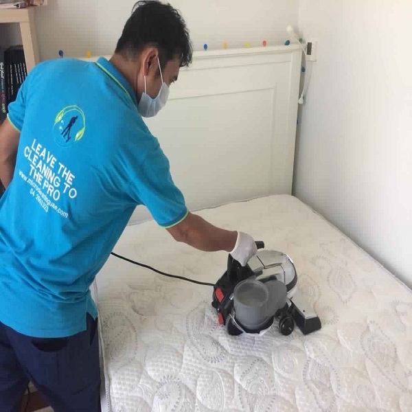 MATTRESS CLEANING SERVICES